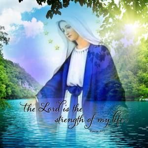 Meet your Posher, Yolette